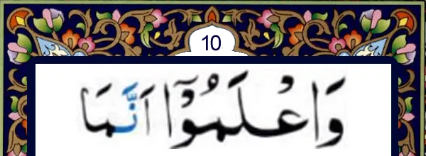 Quran and online Qida for kids and many books to read and learn Quran