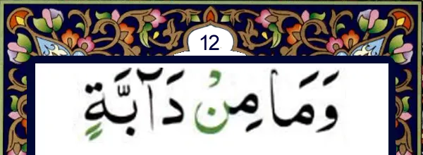 Quran and online Qida for kids and many books to read and learn Quran