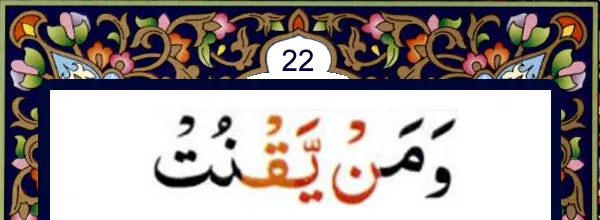Quran and online Qida for kids and many books to read and learn Quran