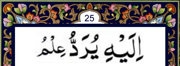 Quran and online Qida for kids and many books to read and learn Quran