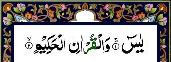 Quran and online Qida for kids and many books to read and learn Quran